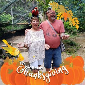 Meet your Posher, Sheila